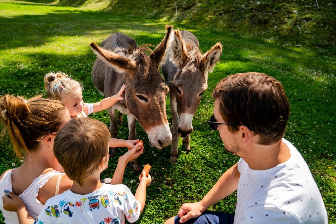 Hotel Almwelt Austria Schladming Zewnętrze zdjęcie